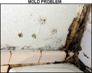 Click to view a larger picture of this inspection problem.